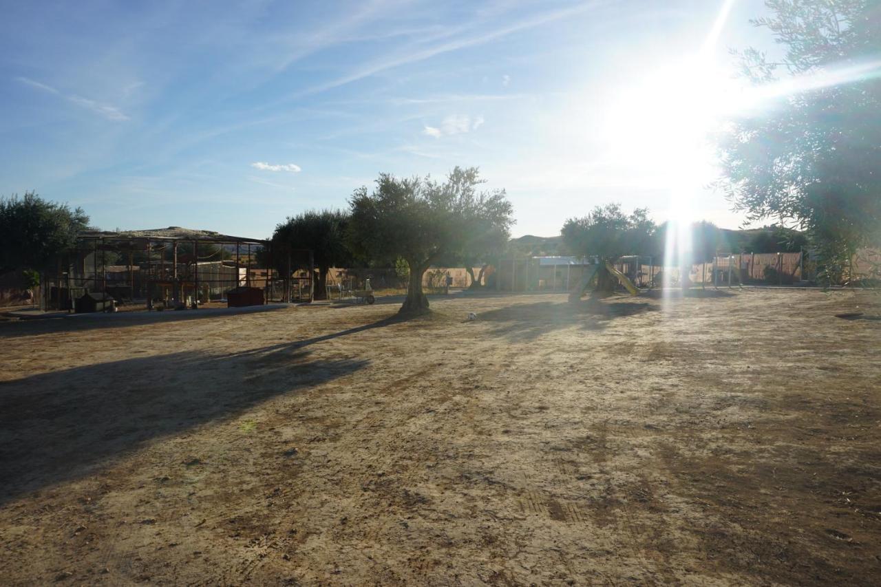 Cuchi Farm Villa Chinchón Kültér fotó
